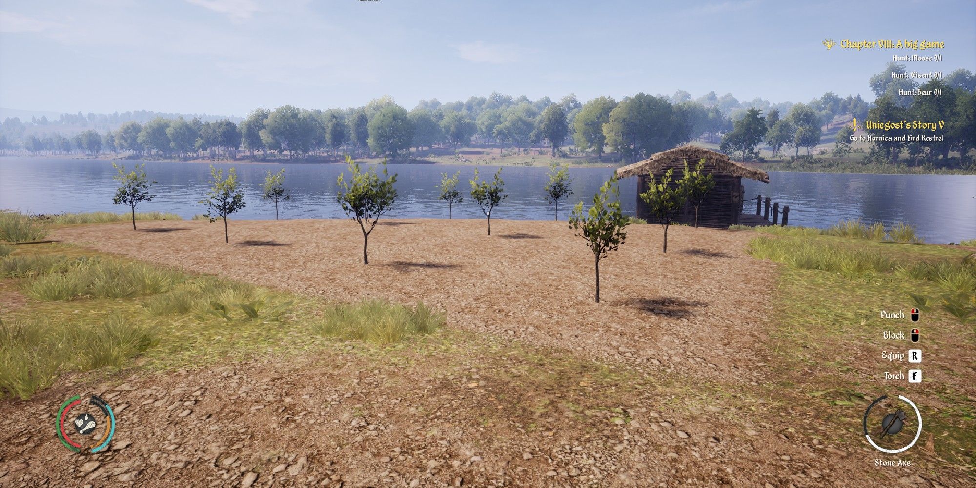 orchard with trees in beginning growth stages