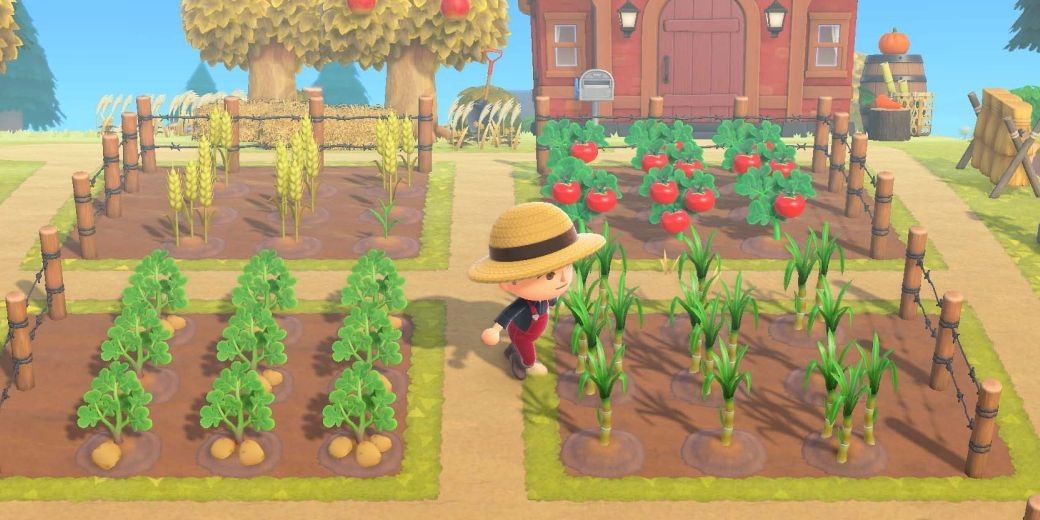 animal crossing new horizons villager in farm with potatoes wheat tomatoes sugar cane