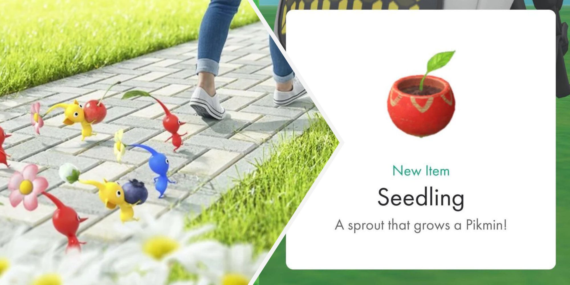 Pikmin bloom sprout seedling