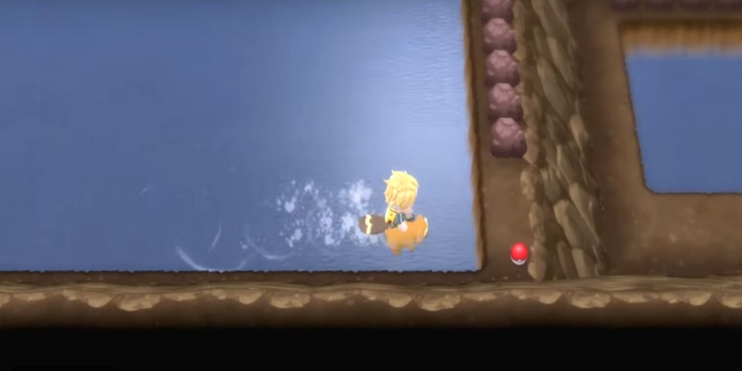 Pokemon BDSP Leftovers