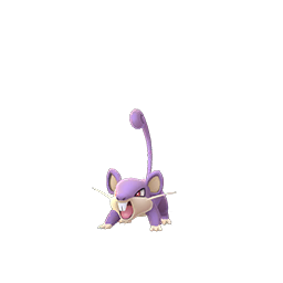 Rattata