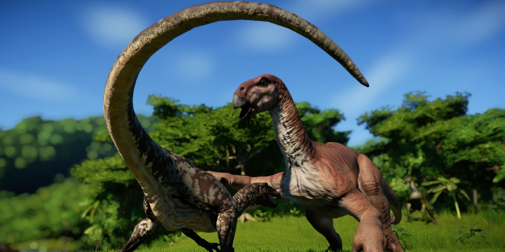 confrontation in the park
