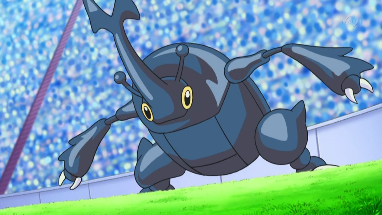 heracross pokemon unite