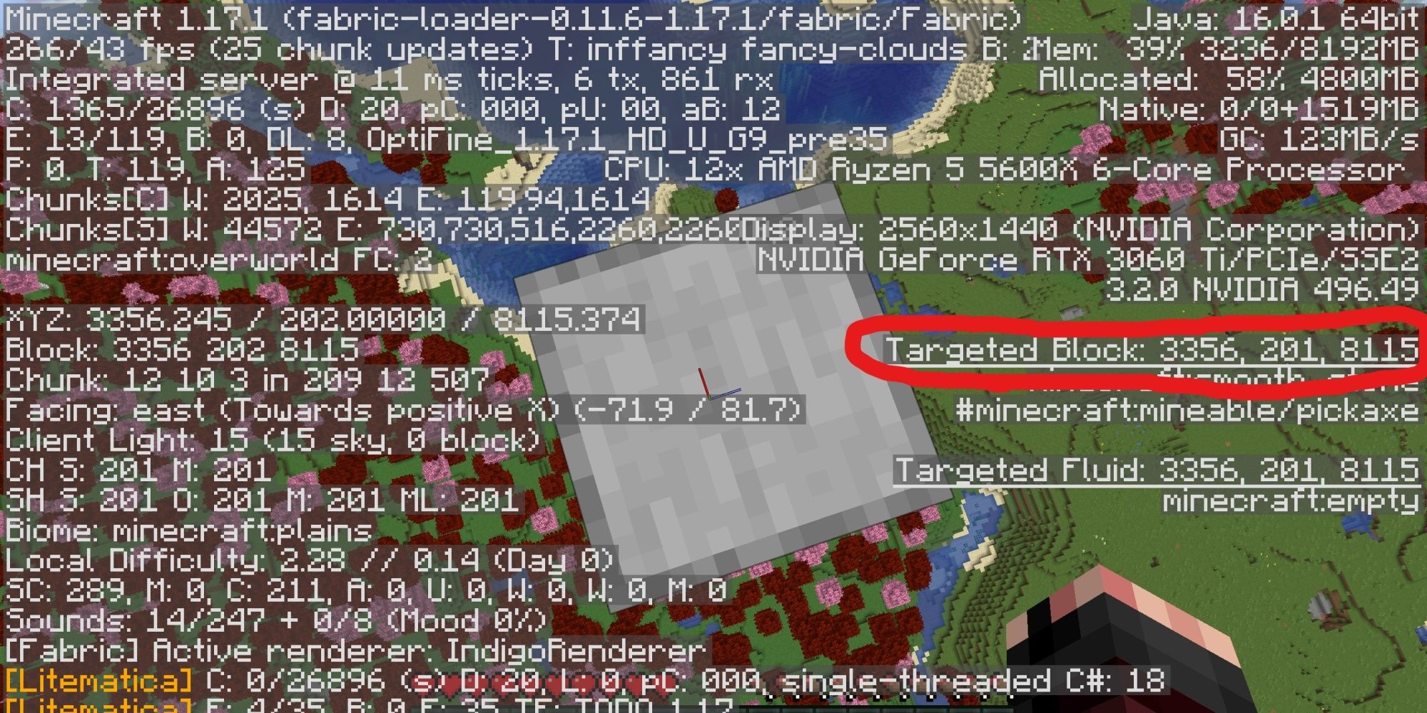 Minecraft Drowned Farm Targeted Block