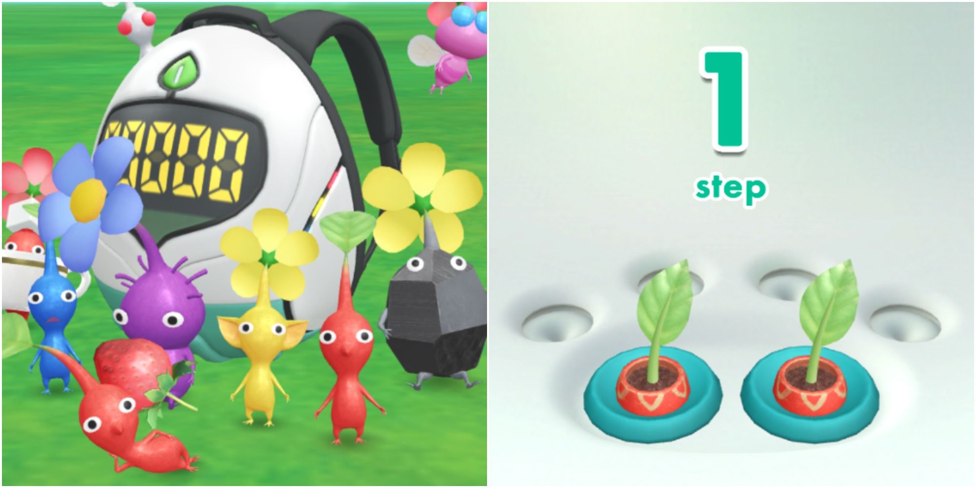 pikmin bloom