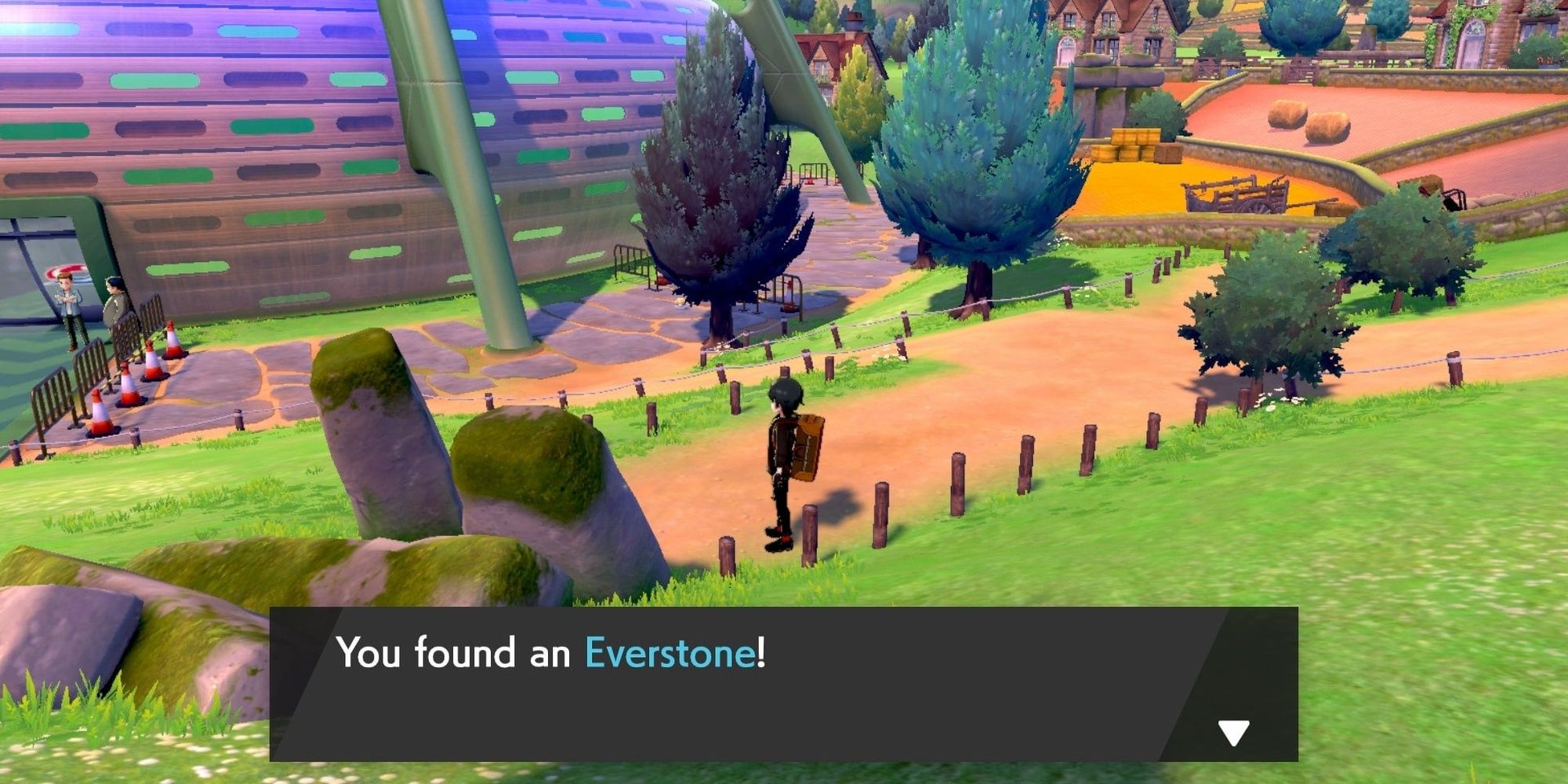 Pokemon Sword and Shield Everstone Turrfield