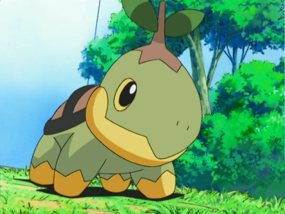 turtwig rival battle brilliant diamond shining pearl