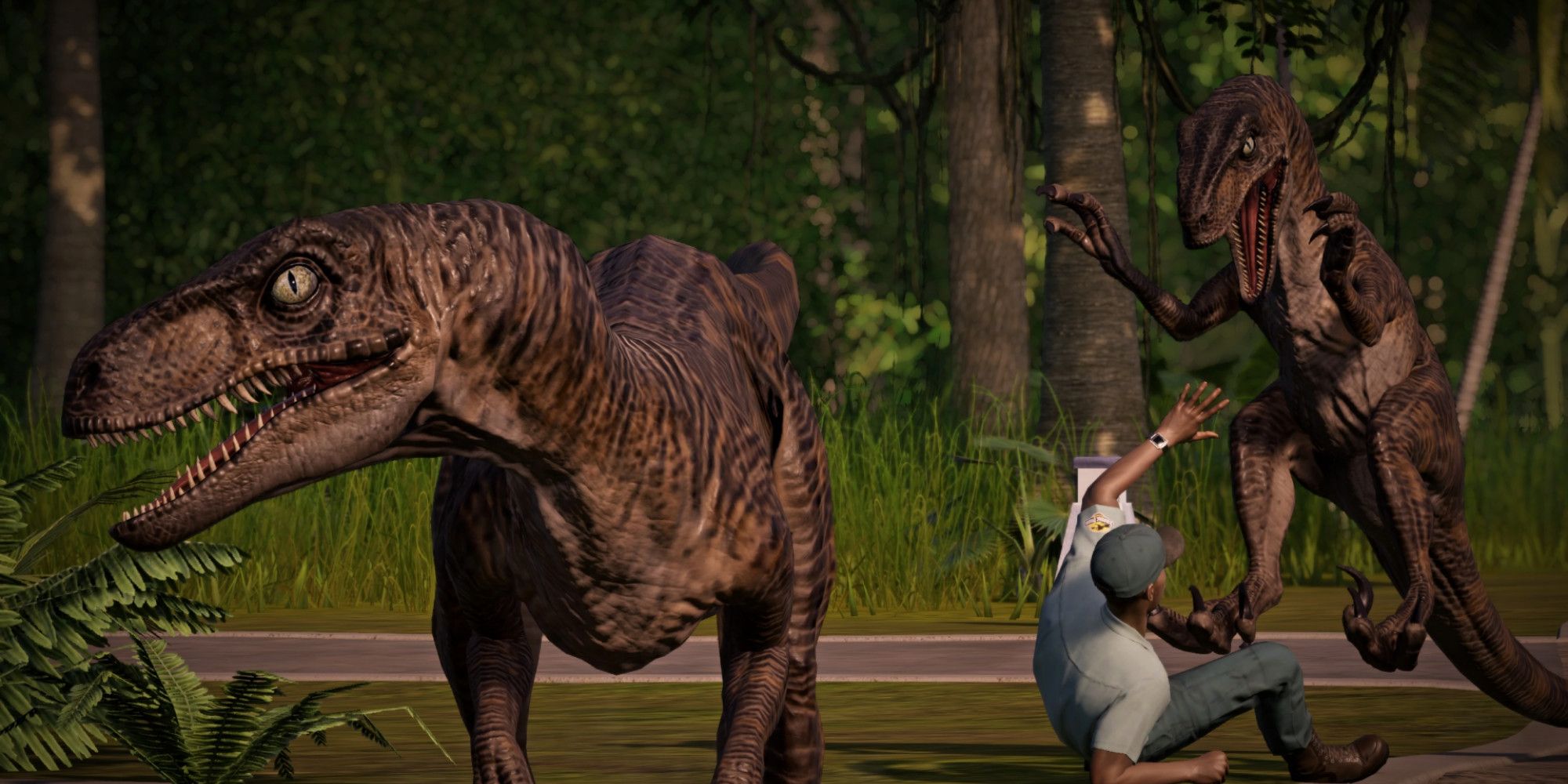 raptors 