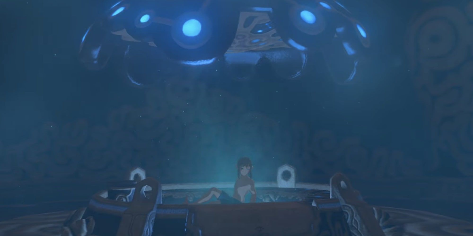 Legend of Zelda: Breath Of The Wild Link awakens