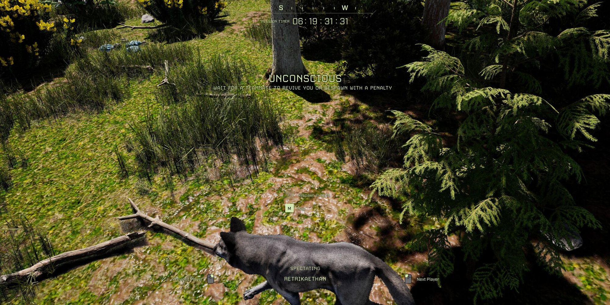 unconscious player after wolf attack