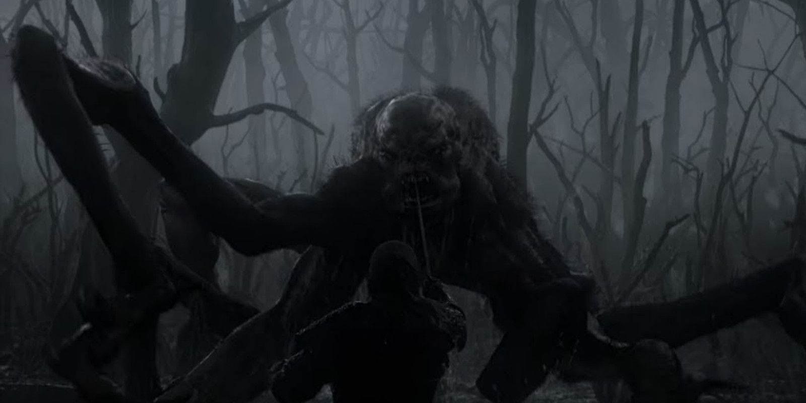 Kikimora Geralt fight kill swamp The Witcher netflix season 1