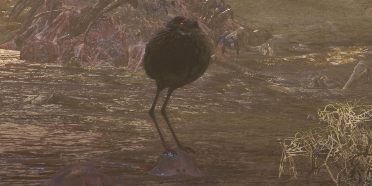 Monster-Hunter-World-Bristly-Crake-1