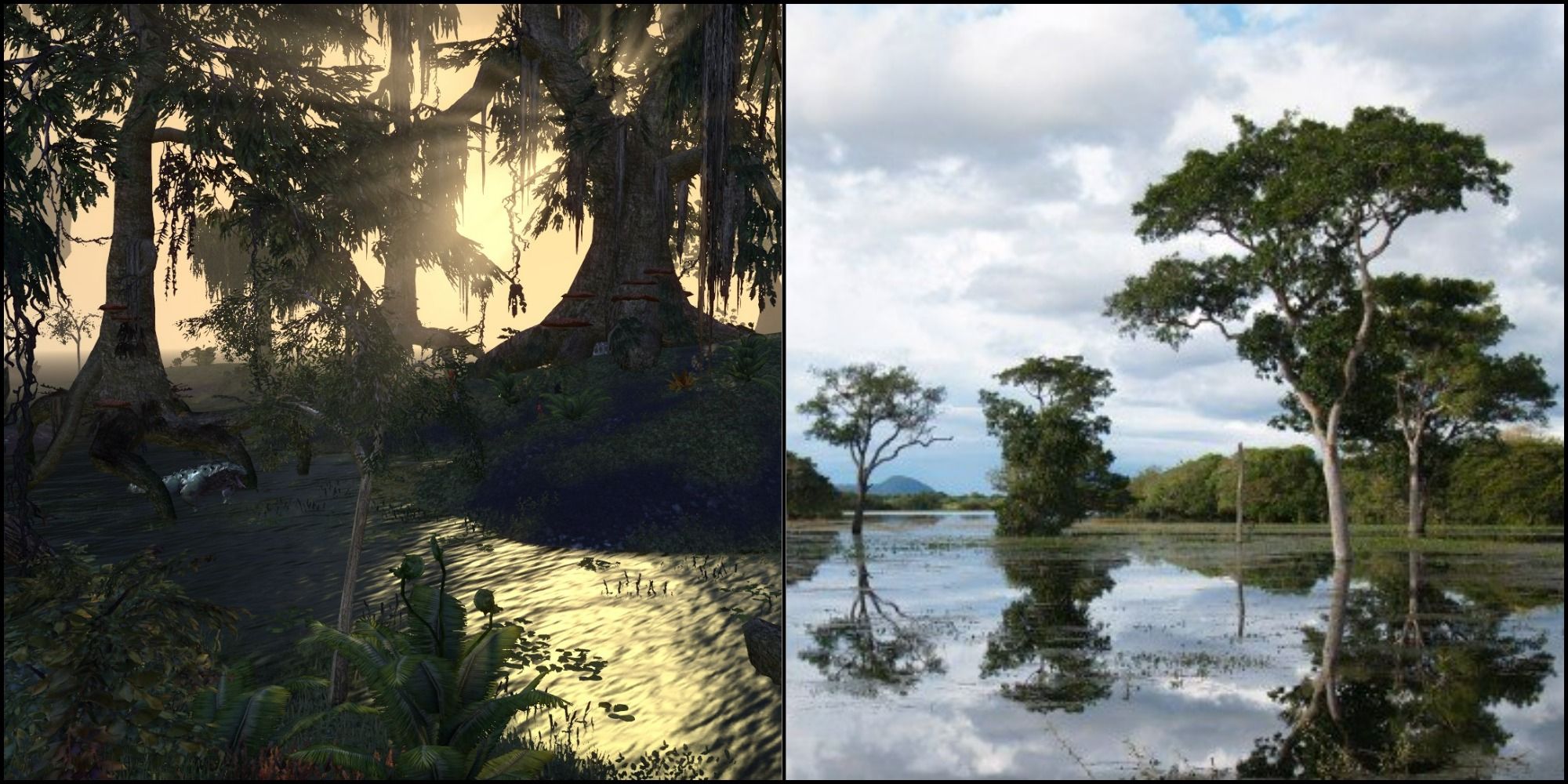 Black Marsh to the left and The Pantanal to the right