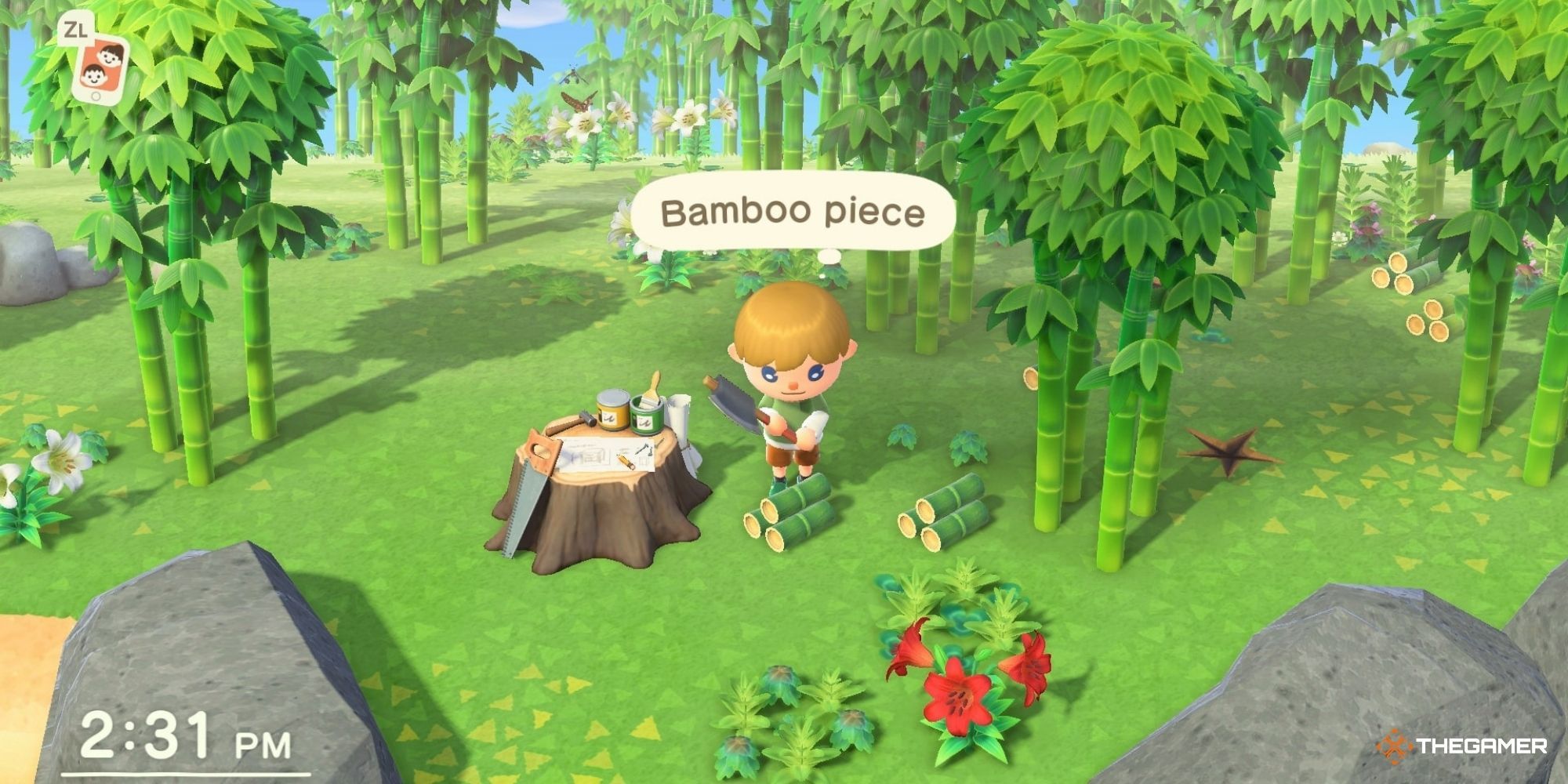 Animal Crossing New Horizons - Player on a Nook Miles Island