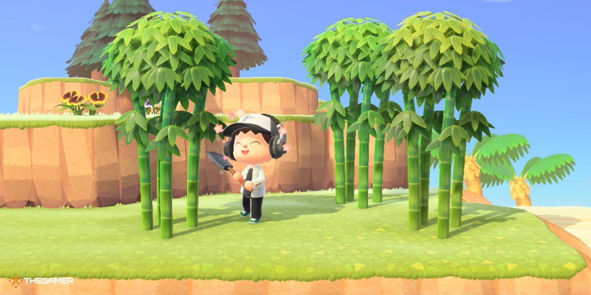 Animal Crossing New Horizons - Player standing next to Bamboo Trees