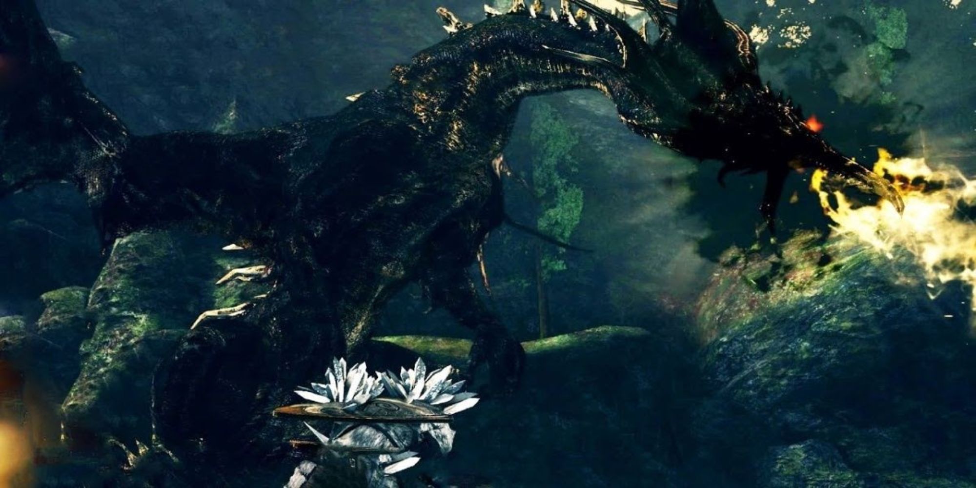 Dark Souls Kalameet Boss Fight With Fire