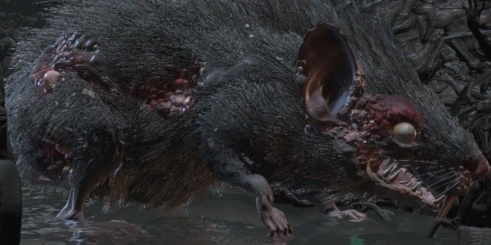 Dark Souls: A giant sewer rat covered in boils