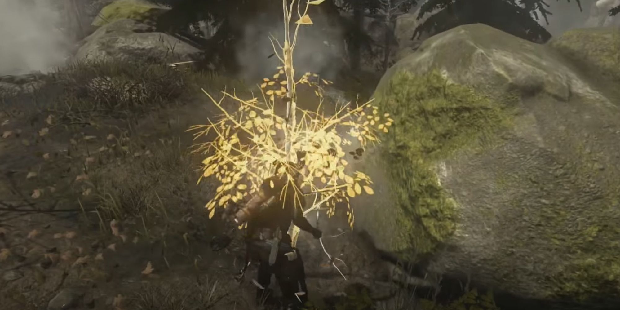 rise of the tomb raider lara collecting hardwood