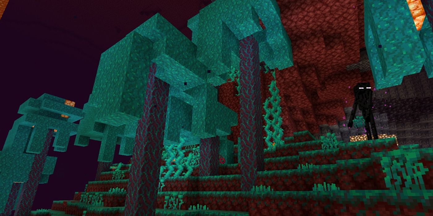 Minecraft Nether Wander Forest