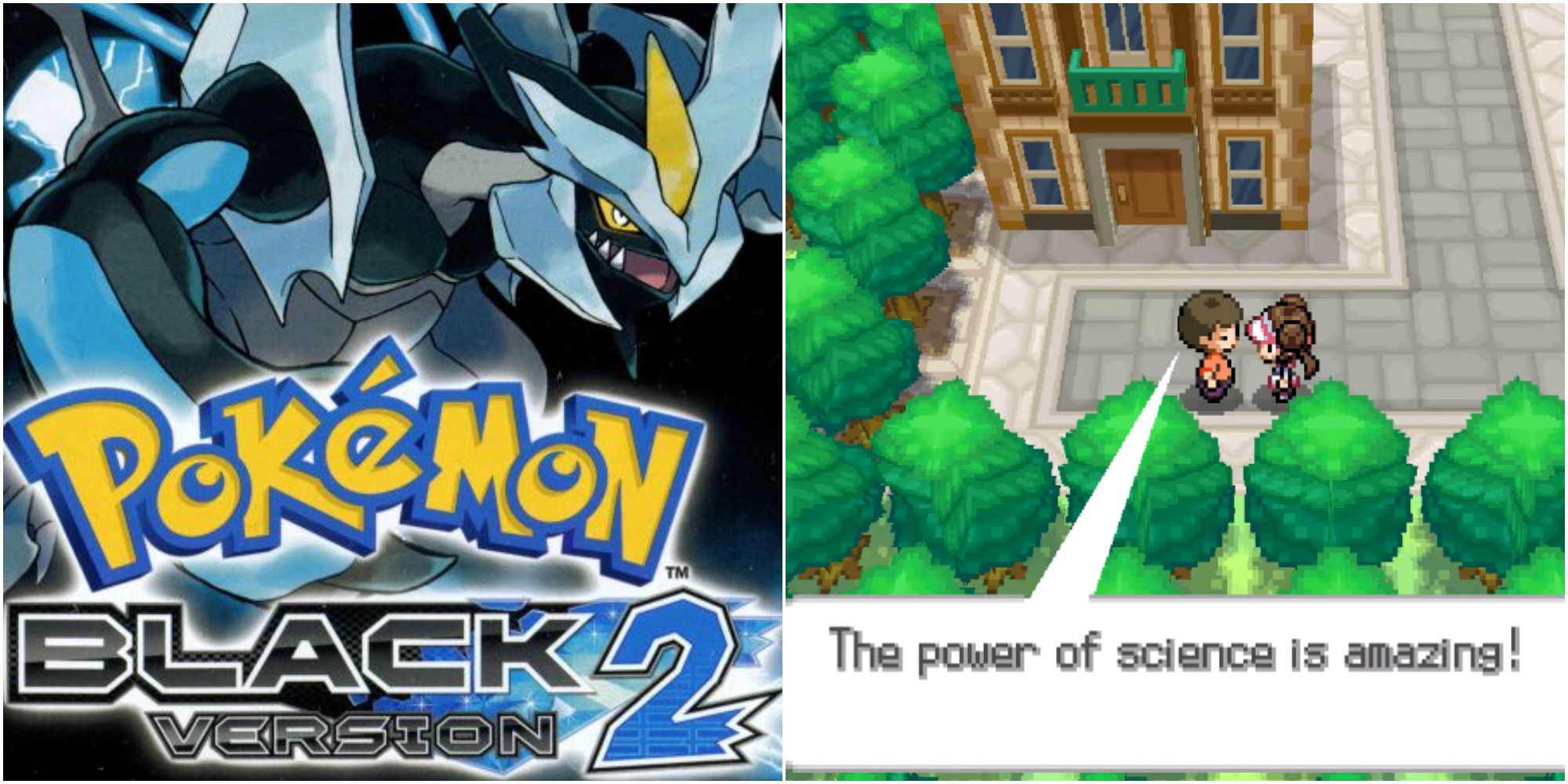 Pokemon Black 2 Technology guy