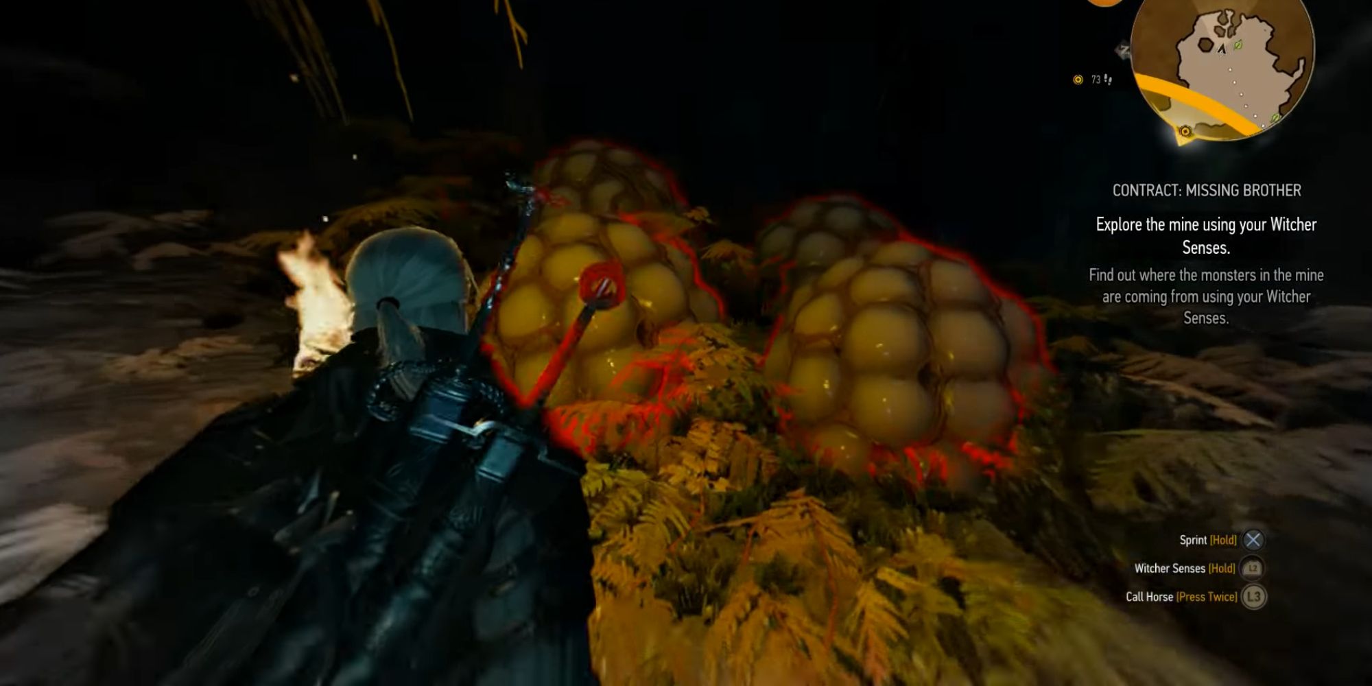 Witcher 3 Screenshot Of Eggs