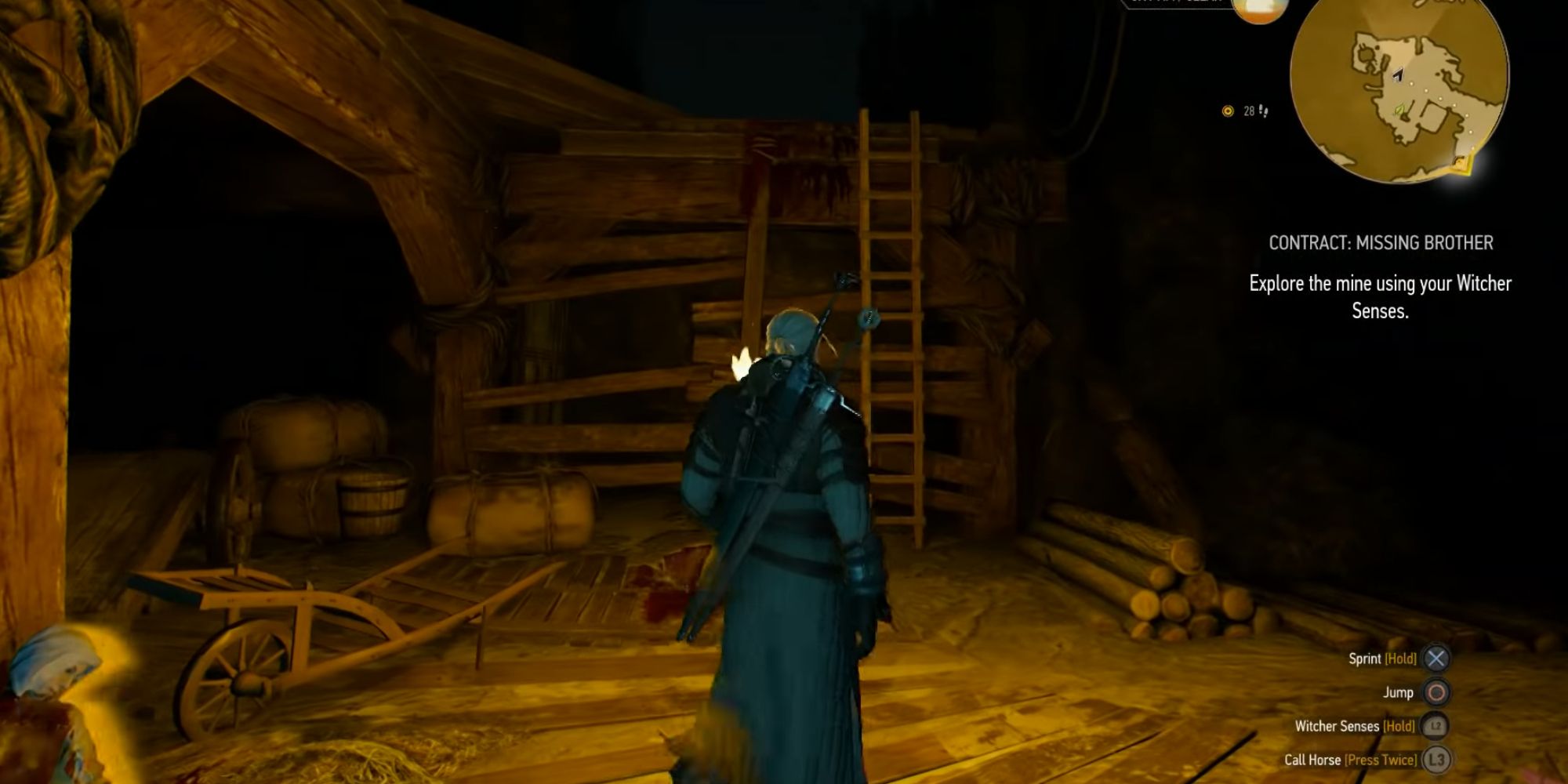 Witcher 3 Screenshot Of Ladder In Mines