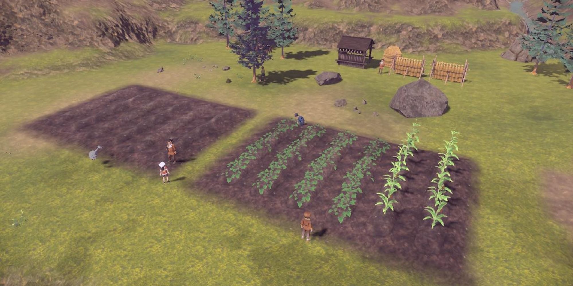 growing crops 