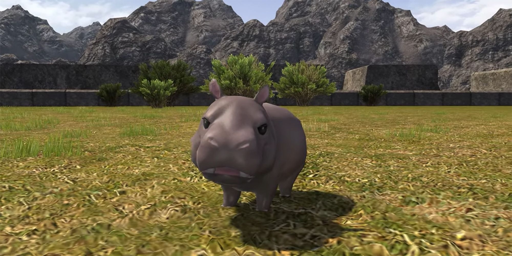 hippo calf minion