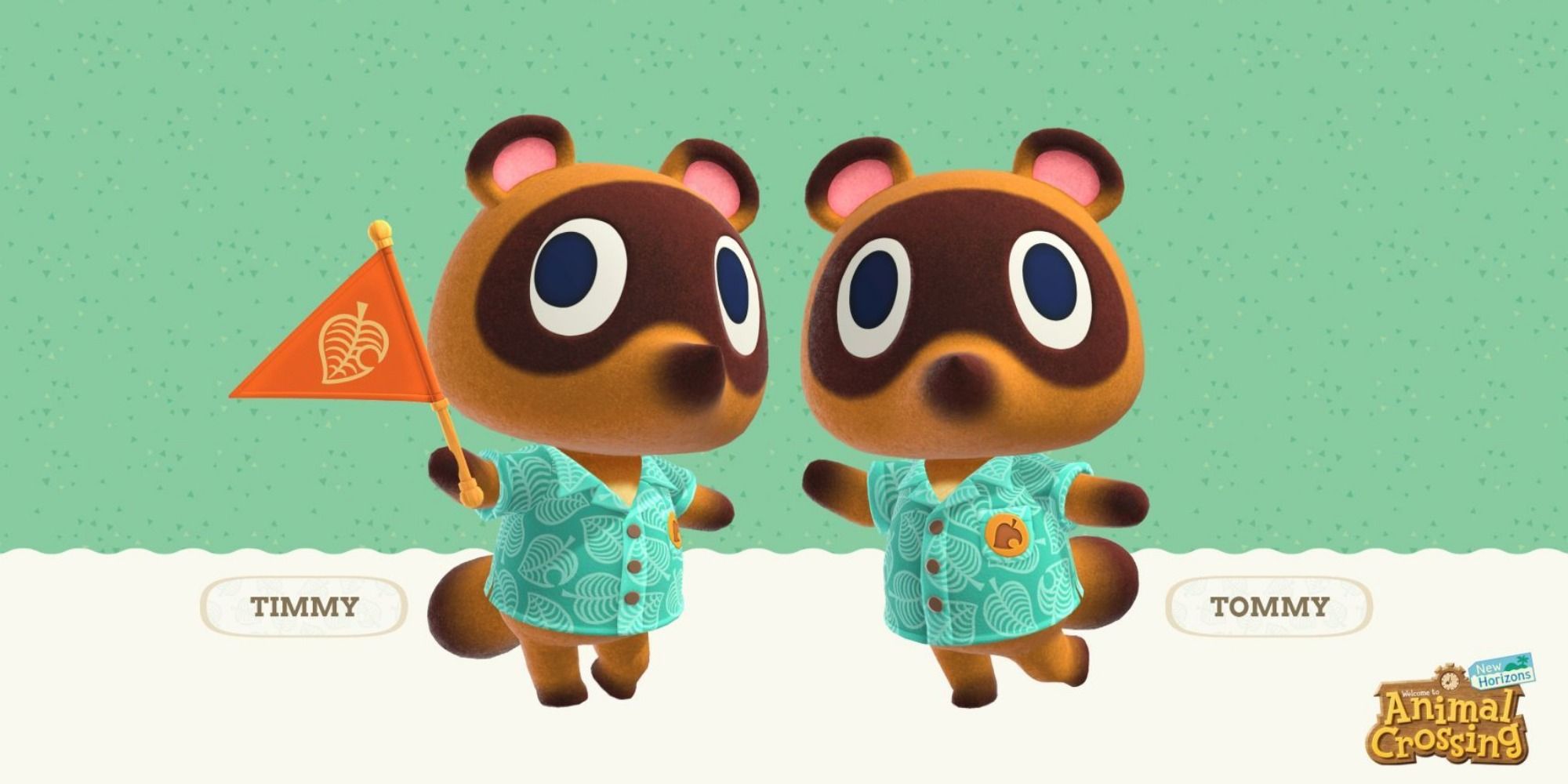 Timmy and Tommy stand against a teal and white background, one holding an orange flag and the other with his arms held out