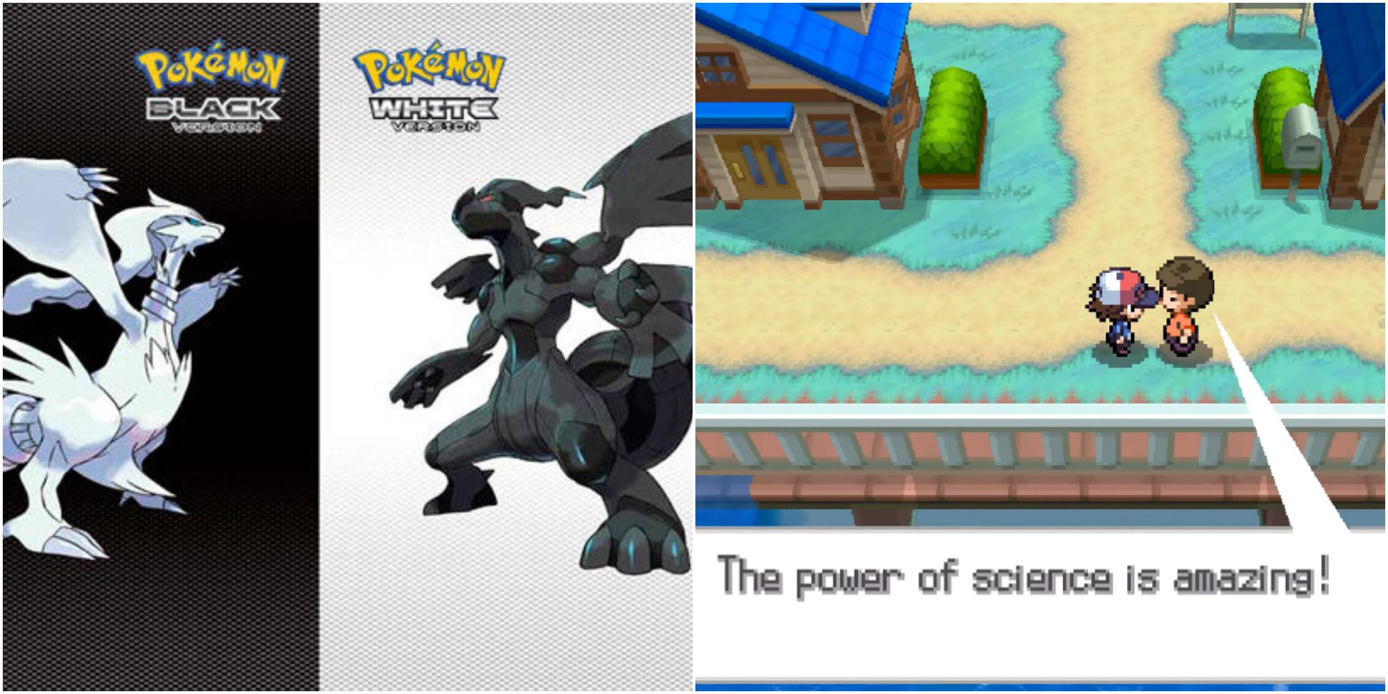 pokemon white technology guy