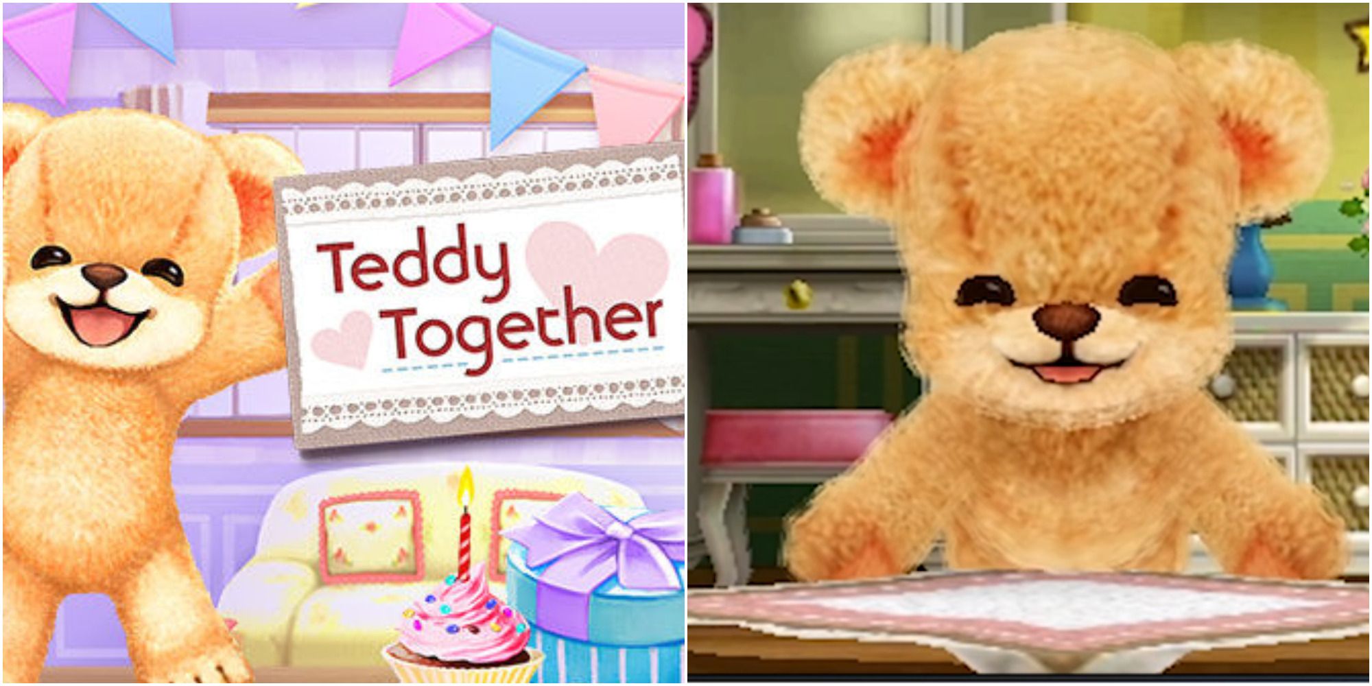 teddy together