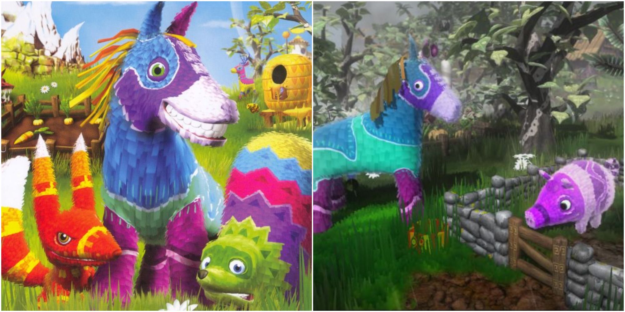 viva pinata