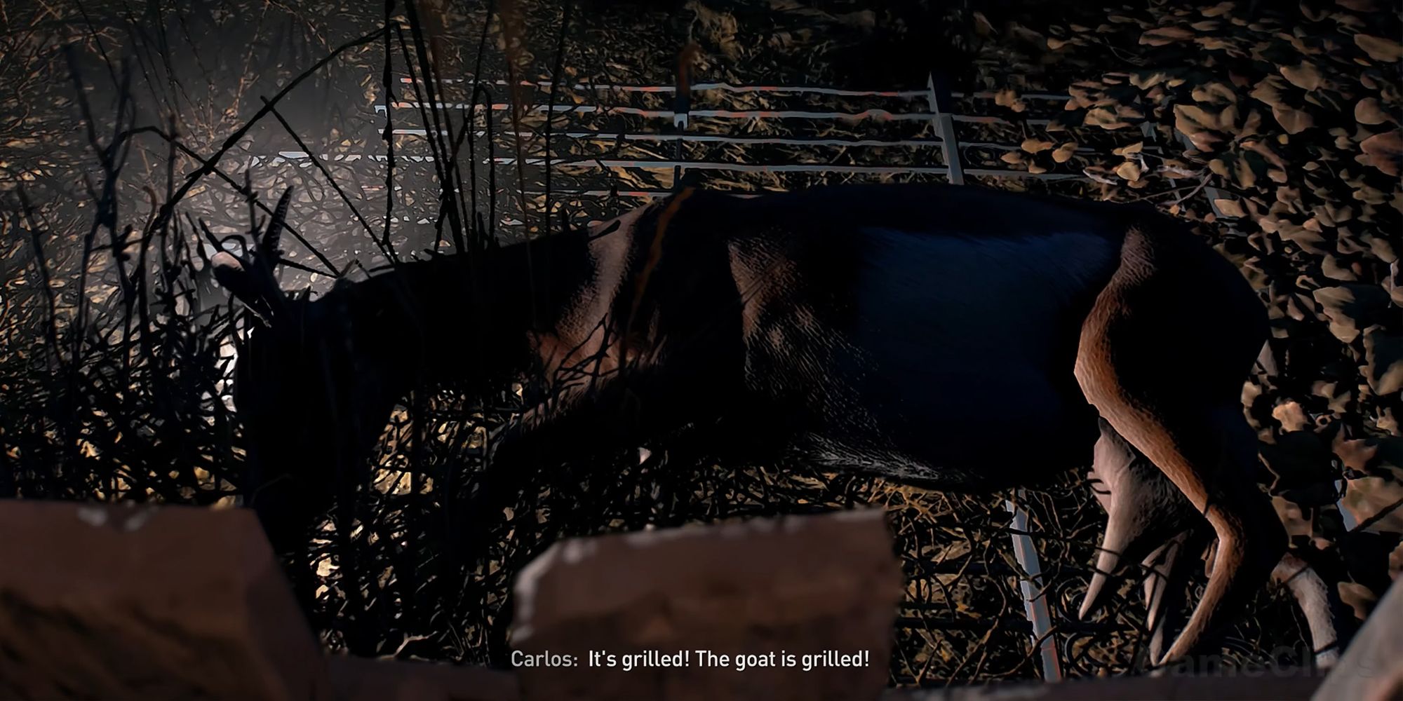 Dying Light 2 - The Grilled Goat From The Electric Fence Side Quest