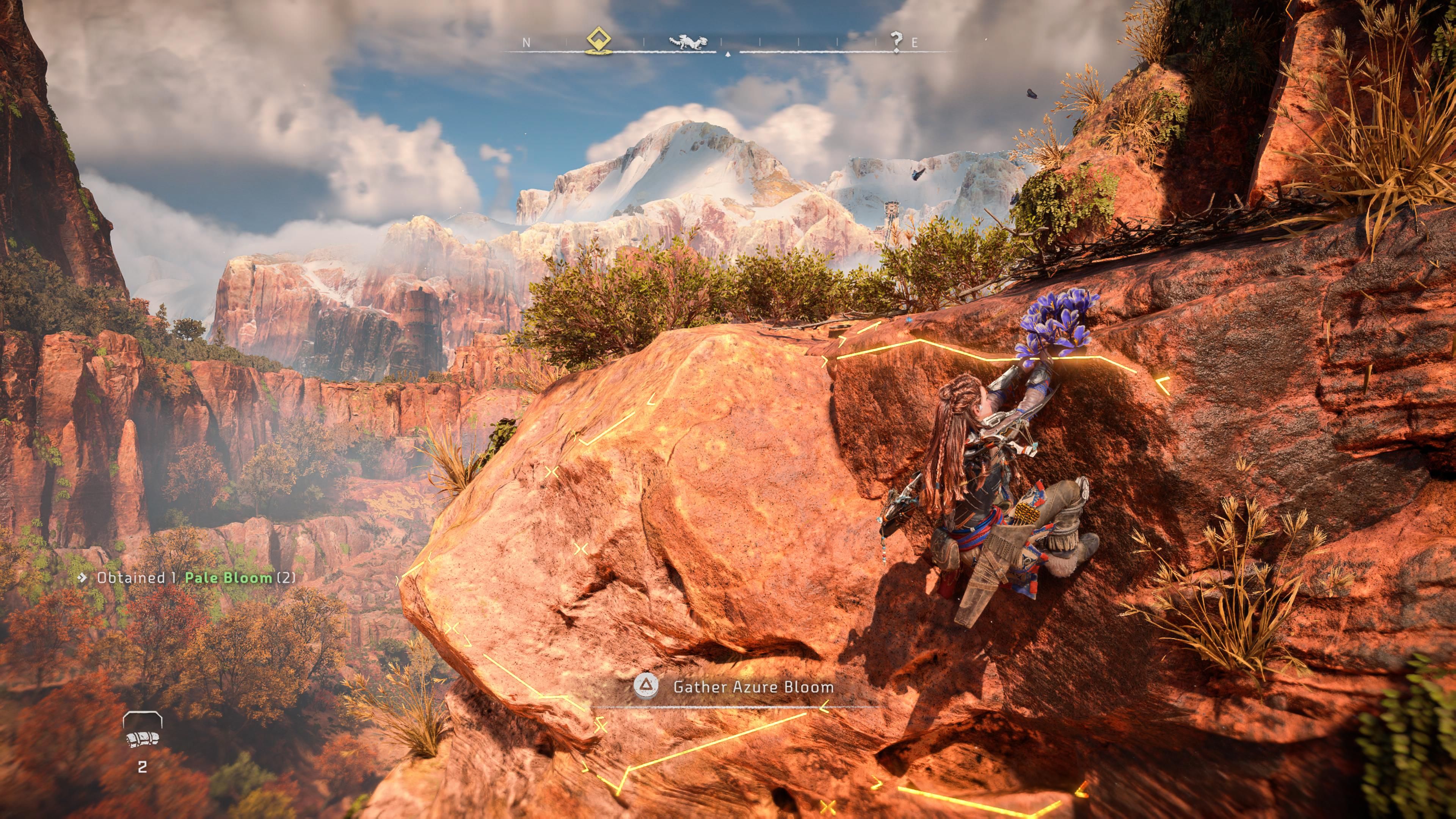 HFW Gather Azure Bloom