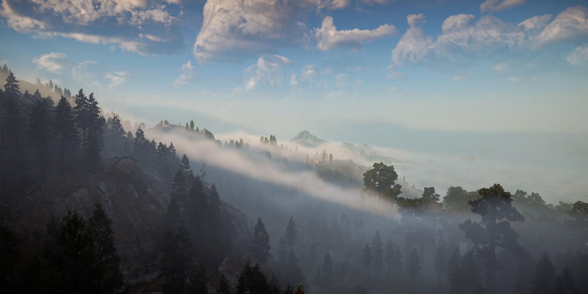 HFW Mountain Forest View