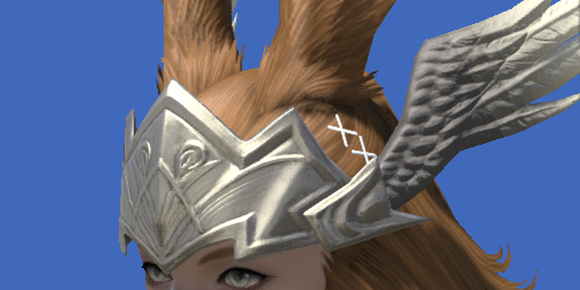 close up of farlander wings of fending on a female viera
