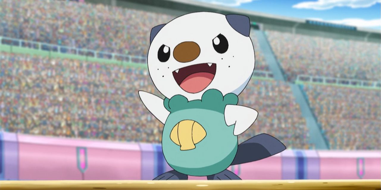 Oshawott with his scalchop on his chest in the Pokemon anime