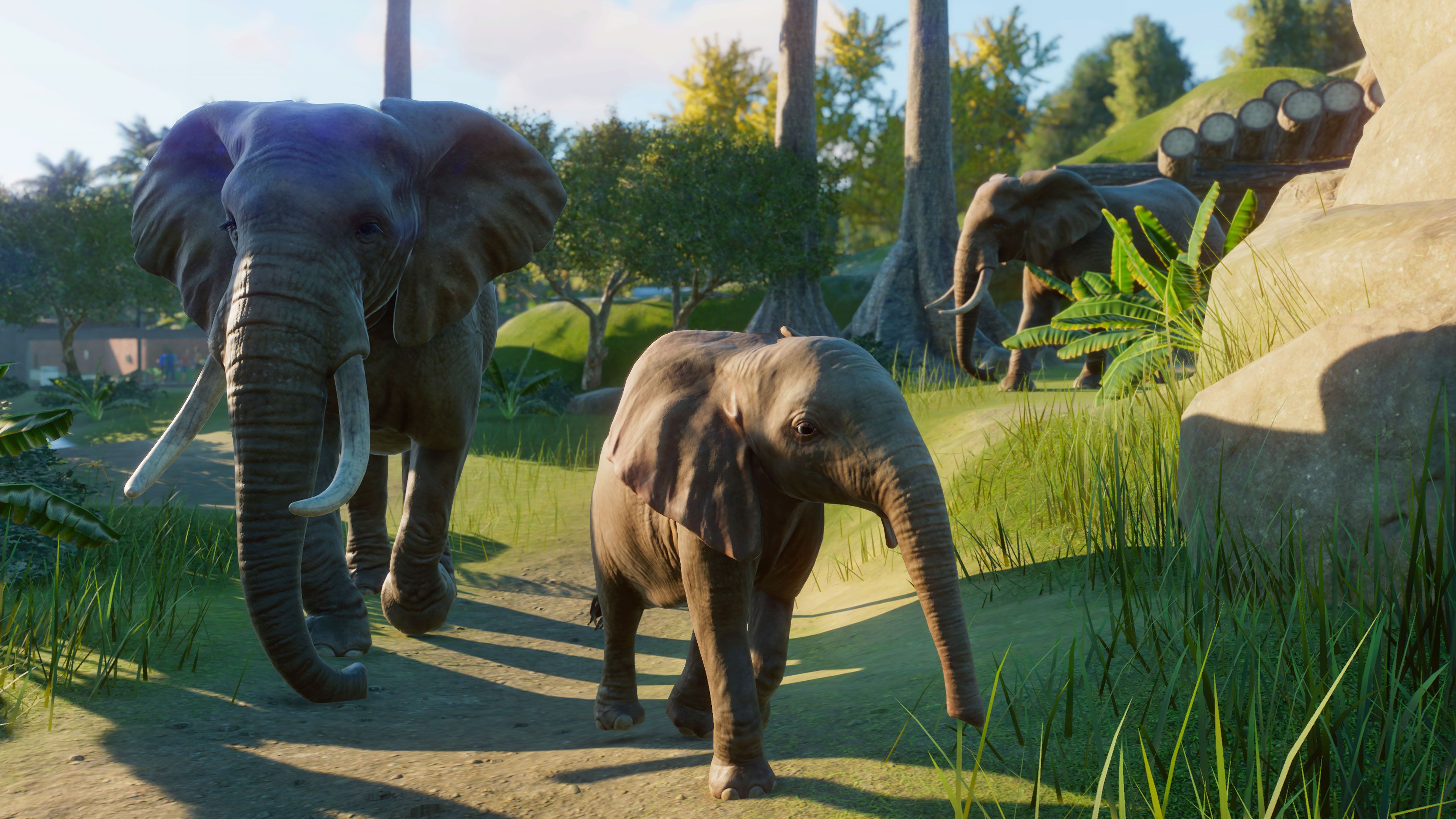 Planet Zoo Elephants Walking