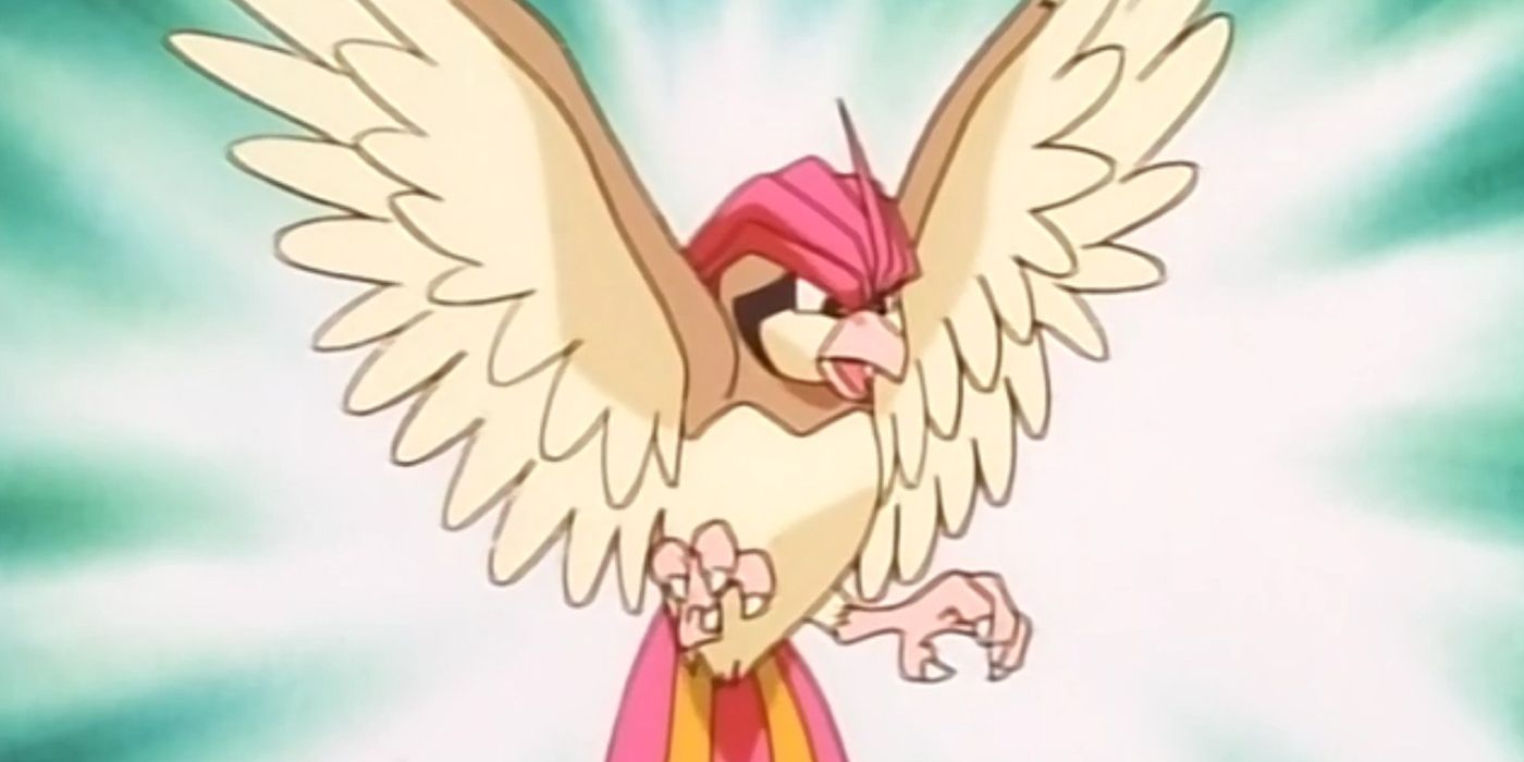 Pokemon Ash Caught 6 Pidgeotto