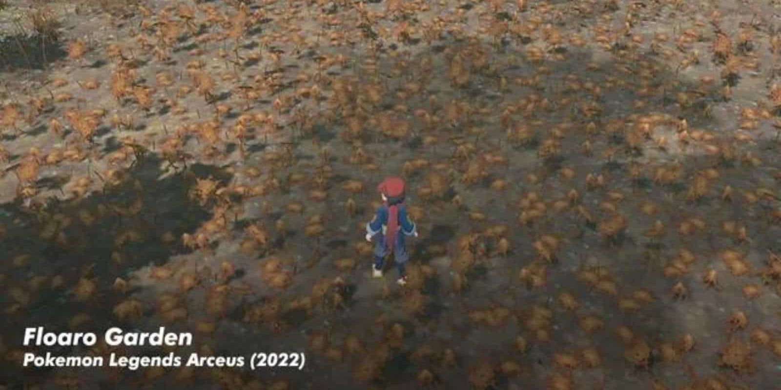 Floaro Garden in Pokemon Legends Arceus