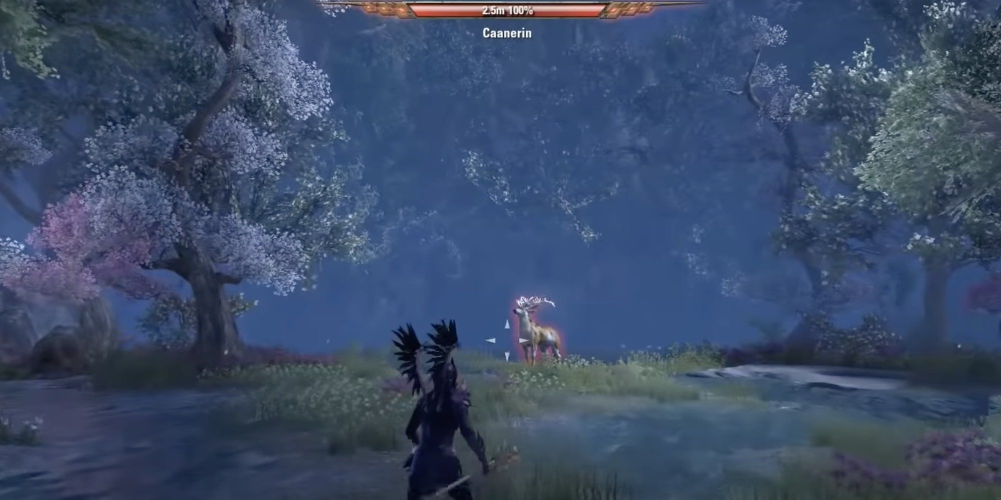Elder Scrolls Online Caanerin