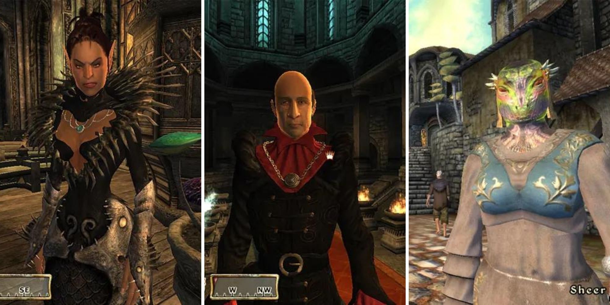 Residents of the various districts of New Sheoth in Oblivion's Shivering Isles DLC