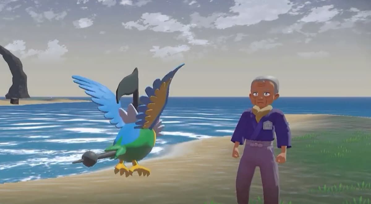 Yorrich Pokemon Legends Chatot