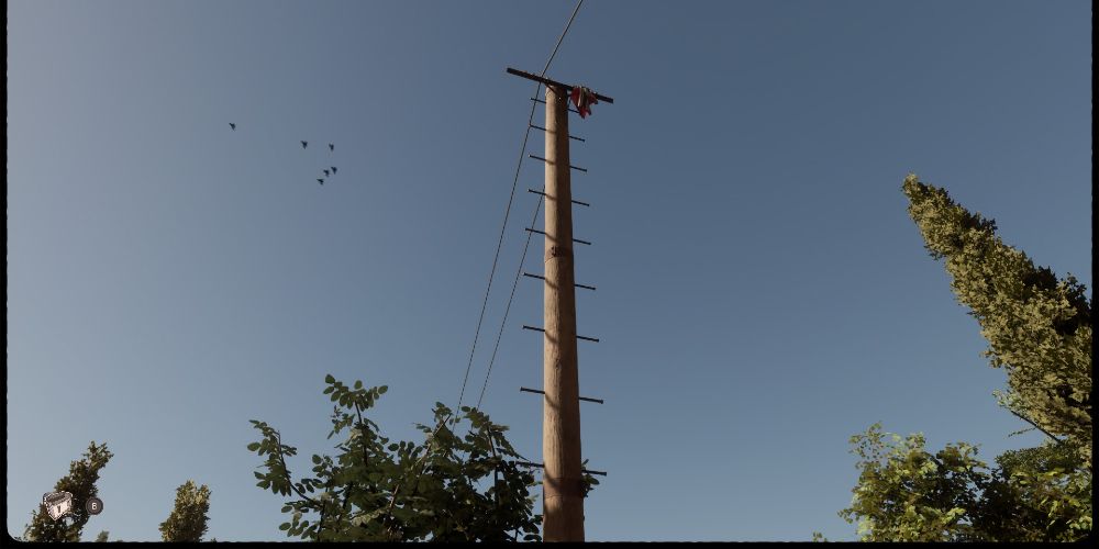 martha is dead flag on telephone pole