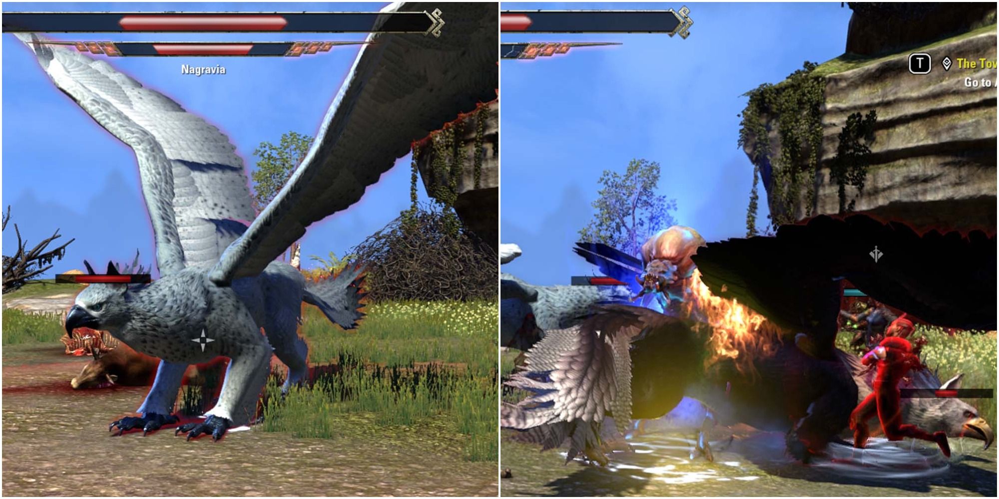 Elder Scrolls Online Nagravia and Haeliata