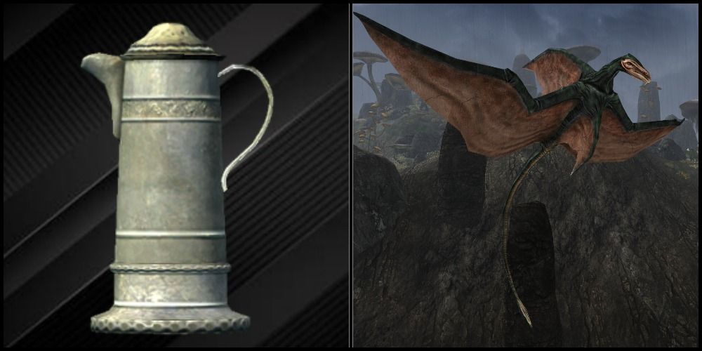 Split image with Cliff Racer potion to the left and an actual Cliff Racer to the right