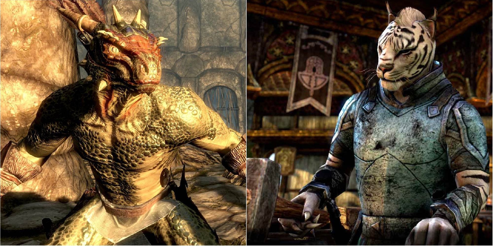 Argonian and Khajiit from the Elder Scrolls series