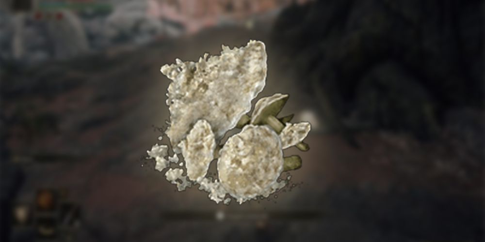 A cluster of white mushrooms in Elden Ring