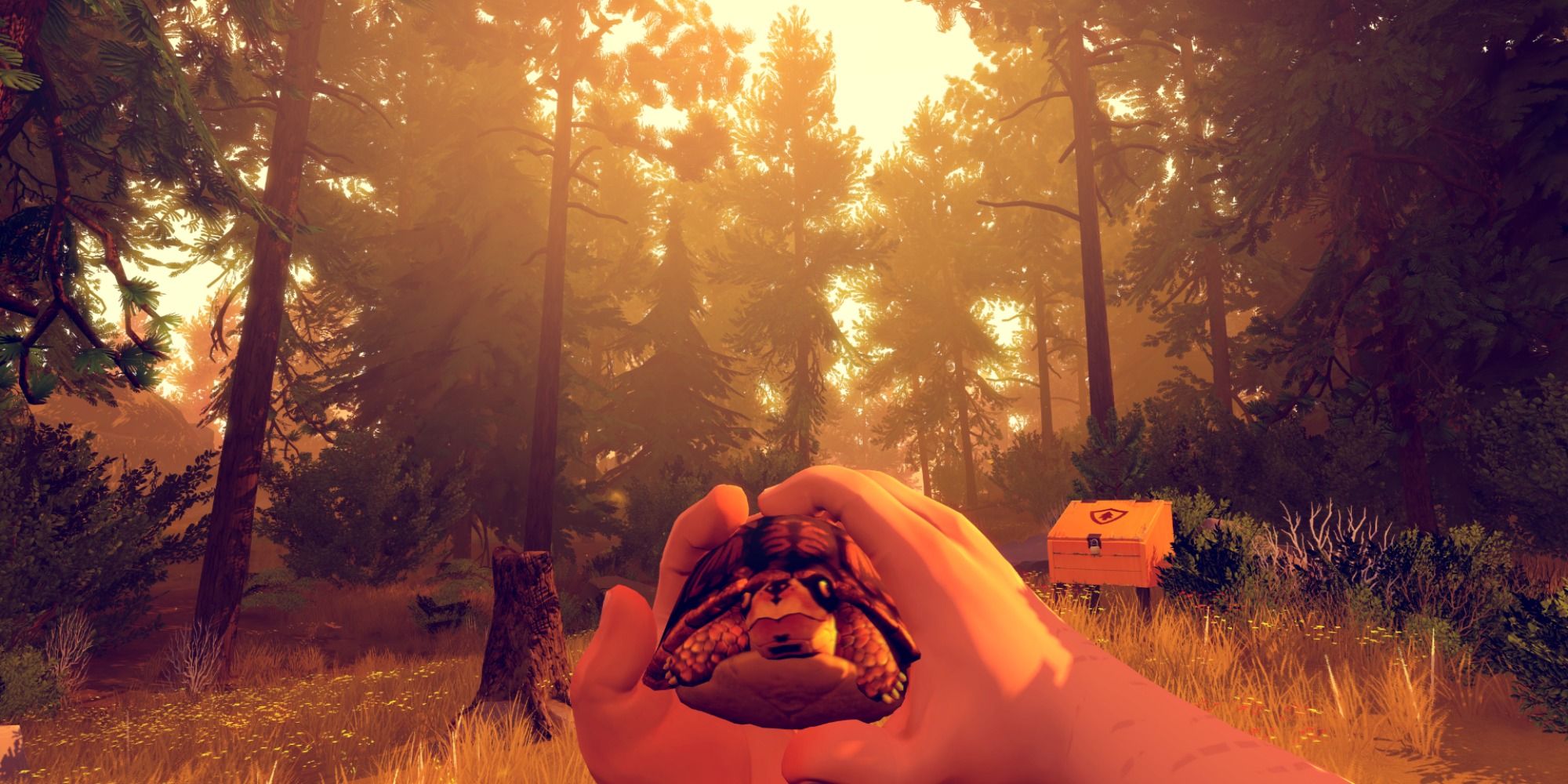 Firewatch holding a turtle