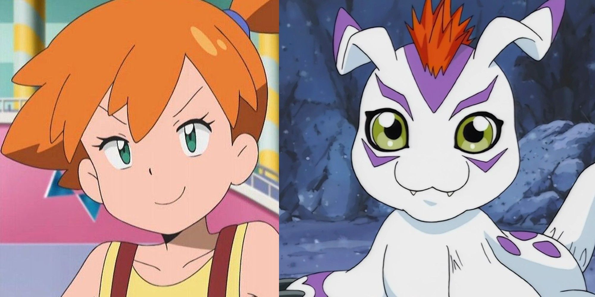 Misty's Partner Gomamon